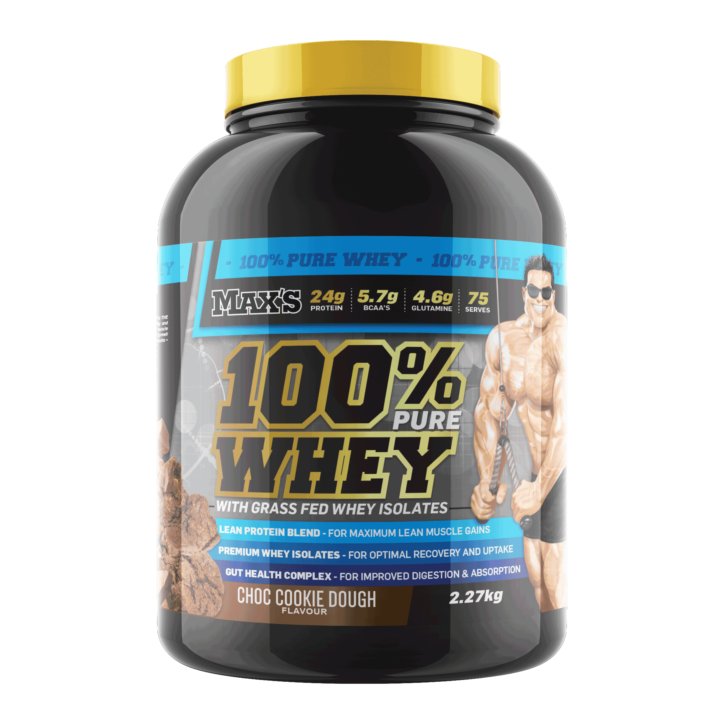 100% Whey Protein